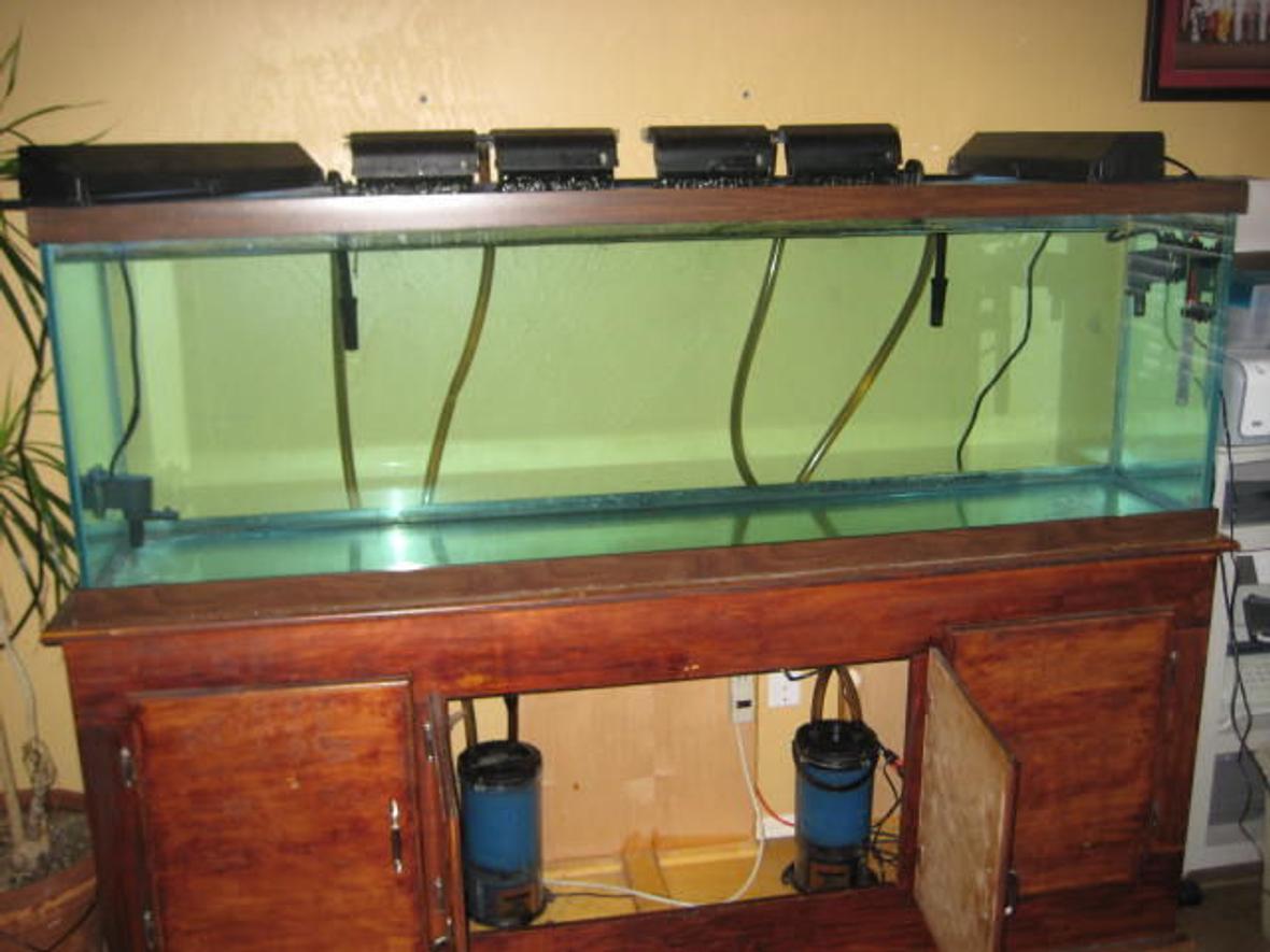 fish tank picture - 150 gallon tank needing help. Wife made me a bet last week 6/28/08. I can't buy any hobbie stuff for a year and she can't drink for a year. But she never said others couldn't support my hobbie. All I need to get this beauty back on line is some gravel, a hood and some fish. I have everything else. The hood fell off a truck when moving from Hawaii. I'm serving in the Navy. If you wish to donate to this tank please send all donations to 1012 S.W. 128th St Oklahoma City, Ok 73170 Attention Steve.