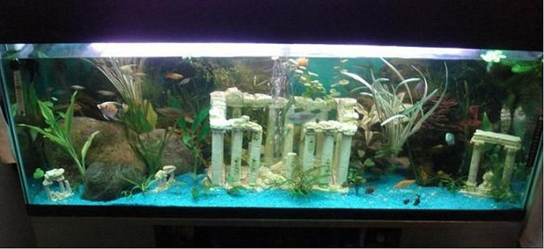 Photo #2 - Front View Of Main Tank Fresh Water Tank With Gr...