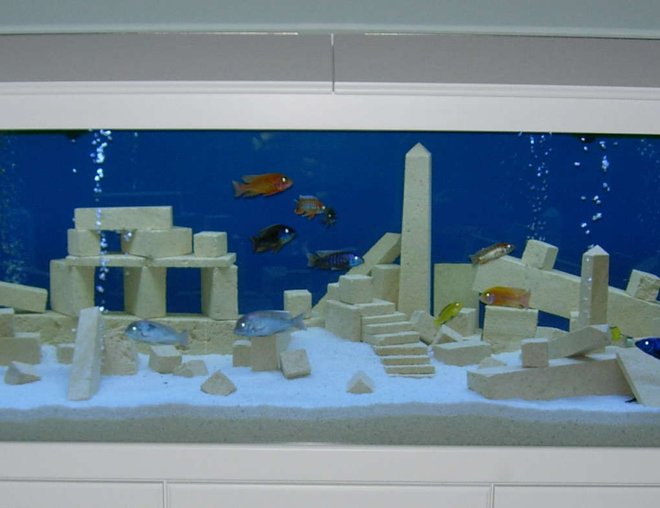 freshwater fish tank (mostly fish and non-living decorations) - Our version of Alantis