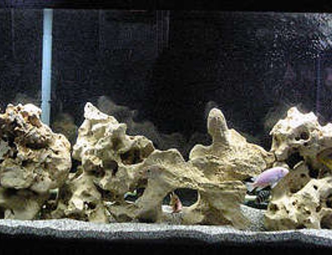 210 gallons freshwater fish tank (mostly fish and non-living decorations) - 55gallon African Cichlid Tank

Note: Those are air bubbles in the top right rather than scratches.