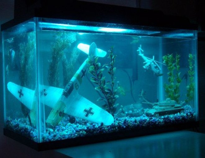 10 gallons freshwater fish tank (mostly fish and non-living decorations) - This is the coolest tank, i dont care what you think