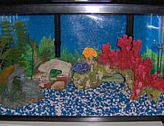 29 gallons freshwater fish tank (mostly fish and non-living decorations) - my 10 gal.   i used 2 filters on it becouse i had several fish, but i have moved them to my 29 gal.