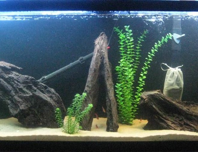 55 gallons freshwater fish tank (mostly fish and non-living decorations) - 55 gal Amazon biotope, less than one month old. 
Sand substrate, real driftwood.
Marineland Penguin 350 Bio Wheel filter with granulated peat media added to soften and color the water.
Black background.
Stealth 250W heater.
Stealth black air tubing.
Lighting is: 48" Satellite 2x65W SunPaq w/Lunar Light

8 Serpae Tetras, 2 Cory cats, 1 pleco.
More to follow as tank ages...