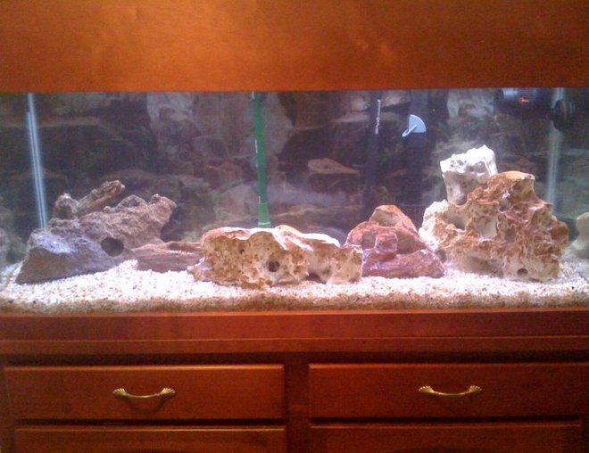 75 gallons freshwater fish tank (mostly fish and non-living decorations) - 75 Gallon African Chiclid tank. Fish are all hiding when the picture is taken. However, I have about 20 chiclids ranging in sizes between 2 inch to 6 inch. Just setup the new 75 gallon.  As I retired my older 75 gallon tank.