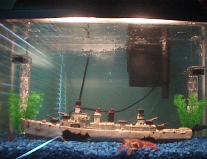 10 gallons freshwater fish tank (mostly fish and non-living decorations) - My fishtank!