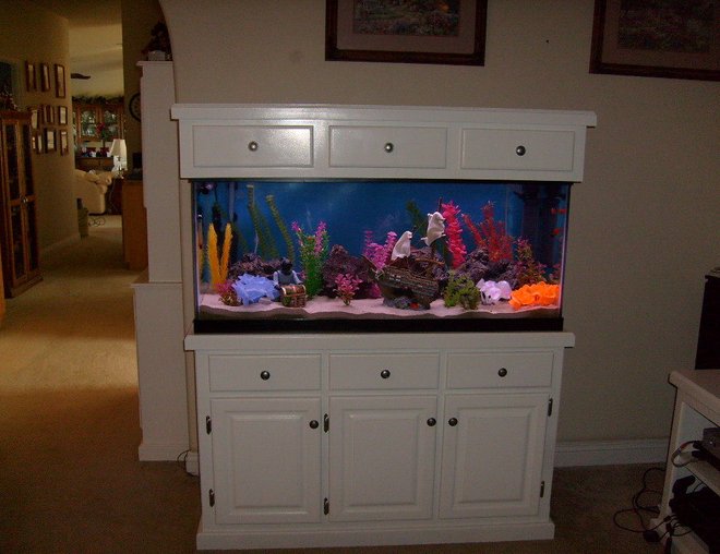 75 gallons freshwater fish tank (mostly fish and non-living decorations) - new tank in progress