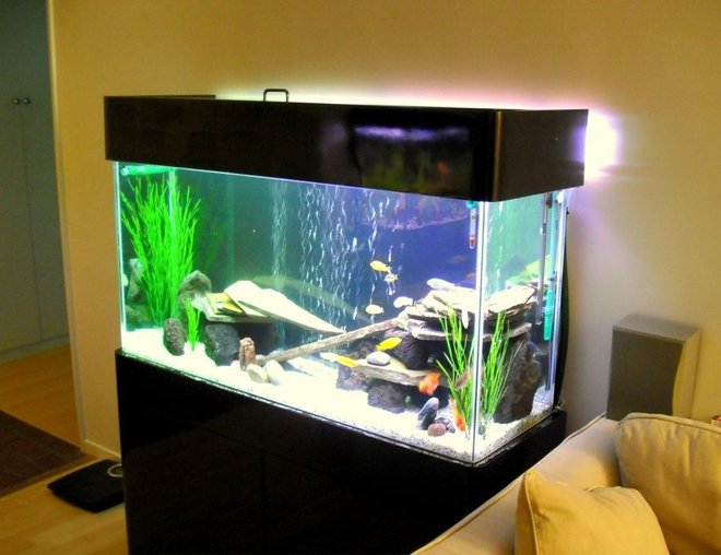 75 gallons freshwater fish tank (mostly fish and non-living decorations) - 75Gal, Marineland 350 dual bio wheel, Jebo 300W heater, DIY GE Lighting, Lava Rocks, Slates, 1/4 white graval