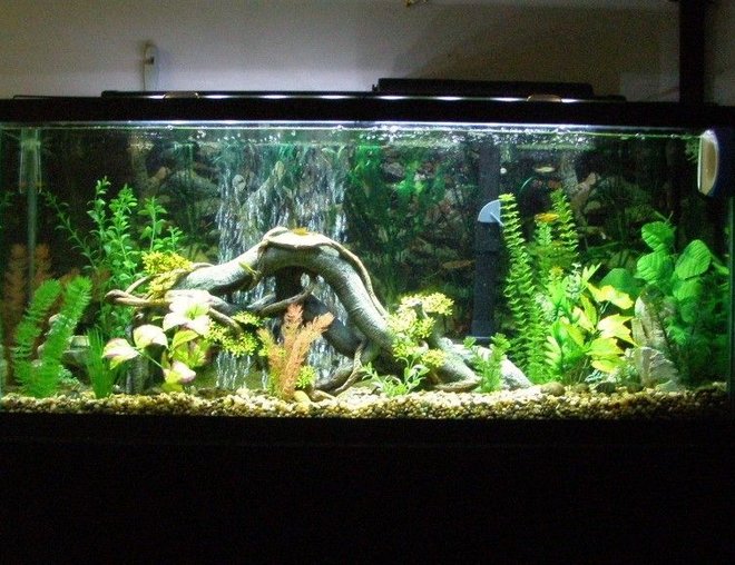 55 gallons freshwater fish tank (mostly fish and non-living decorations) - my first fish tank ever. its a 55 gallon freshwater. filter is a marineland Emperor 400,water heater is marineland Stealth Pro Heater 250-watt set at 82Â degrees keeps the tank at 80 degrees. lighting is marineland led lighting system. air pump is 	
Aquarium Pharmaceuticals RENA 300 with 12" air stone.