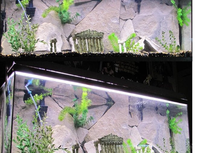 55 gallons freshwater fish tank (mostly fish and non-living decorations) - For my flowerhorns in the mail... lemme know what u think?