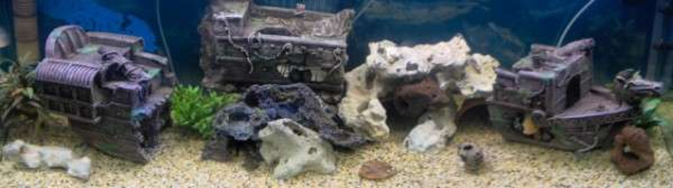 Rated #3224: 180 Gallons Freshwater Fish Tank - 180 gallons. Lots of fish in there, just can't see them!