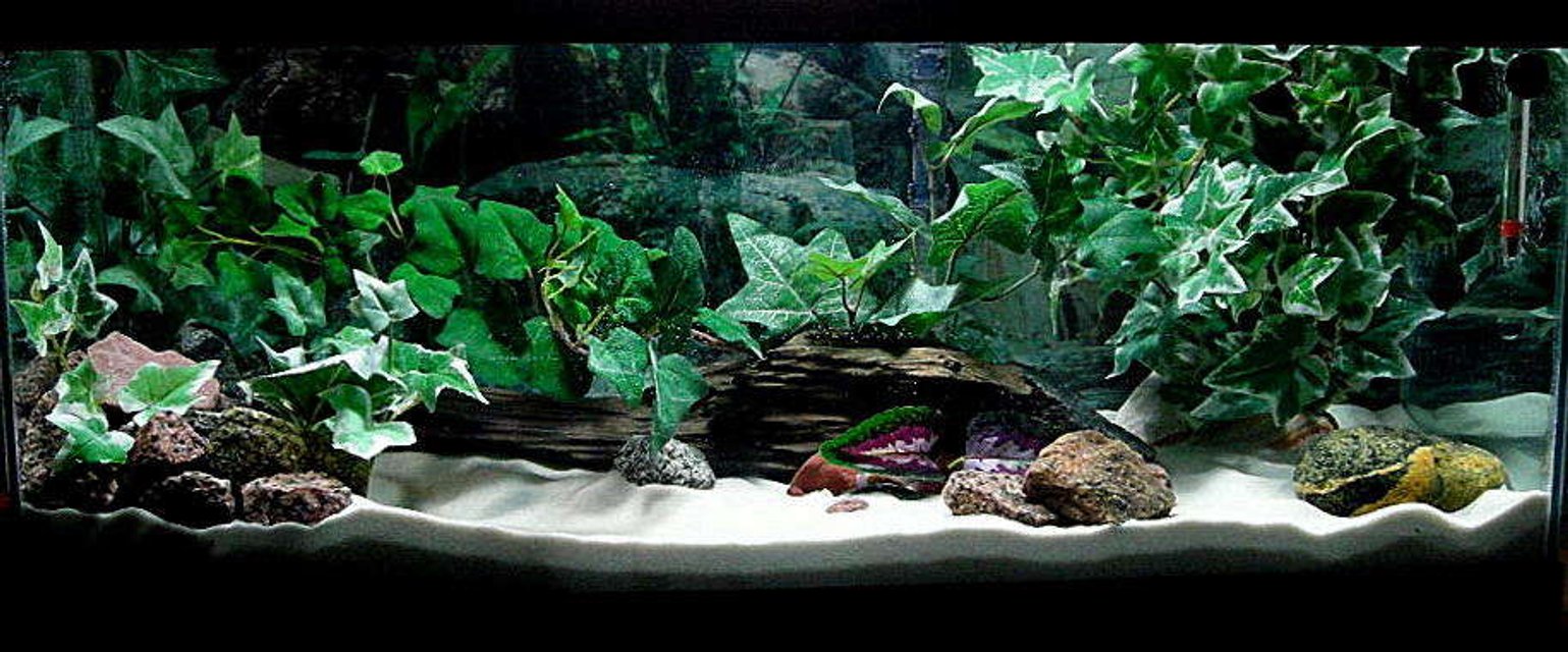 Rated #649: 20 Gallons Freshwater Fish Tank - If you do not give this tank a high rating please tell me why and what you think it needs.. Thanks.