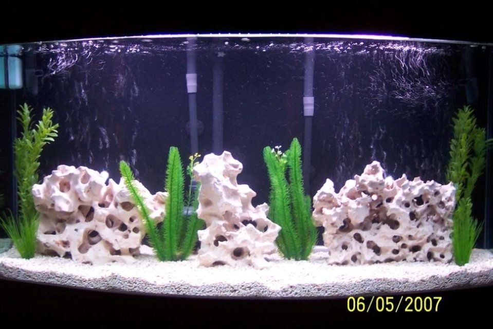 Rated #2330: 80 Gallons Freshwater Fish Tank - 80 gal. cichlid tank