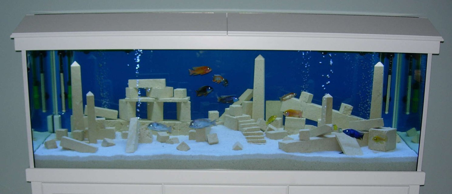 Rated #1978: Freshwater Fish Tank - Our version of Alantis