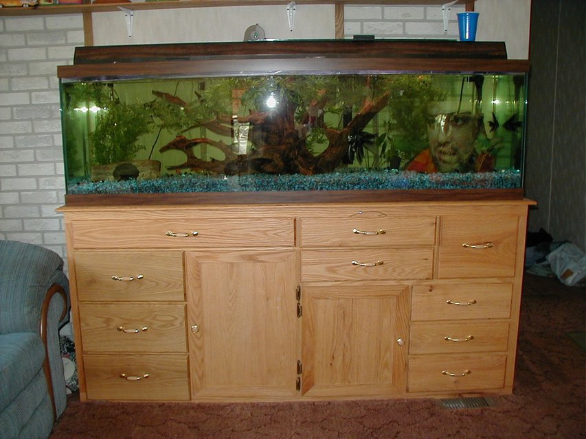 Rated #2943: 75 Gallons Freshwater Fish Tank - my sons 125 gal fresh water tank with the custom built stand built by me