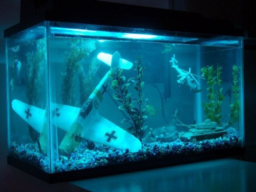 Rated #3088: 10 Gallons Freshwater Fish Tank - This is the coolest tank, i dont care what you think