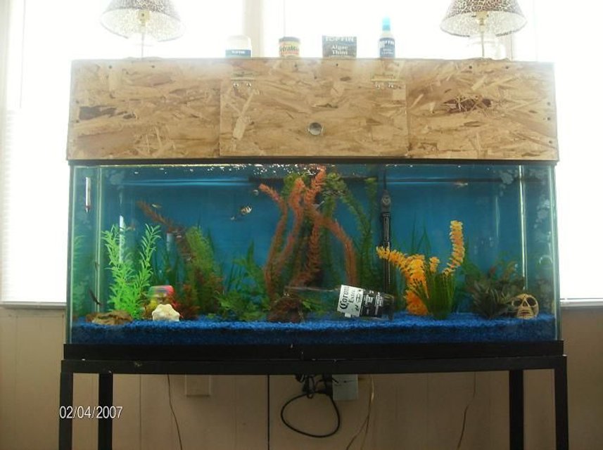Rated #3733: 50 Gallons Freshwater Fish Tank - 50 Gallon Full View.
See a 5 minute vid of the tank and all the fish here. 
Song has swear words use caution!