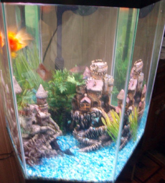 Rated #3939: 35 Gallons Freshwater Fish Tank - Hexagon Shape Tank