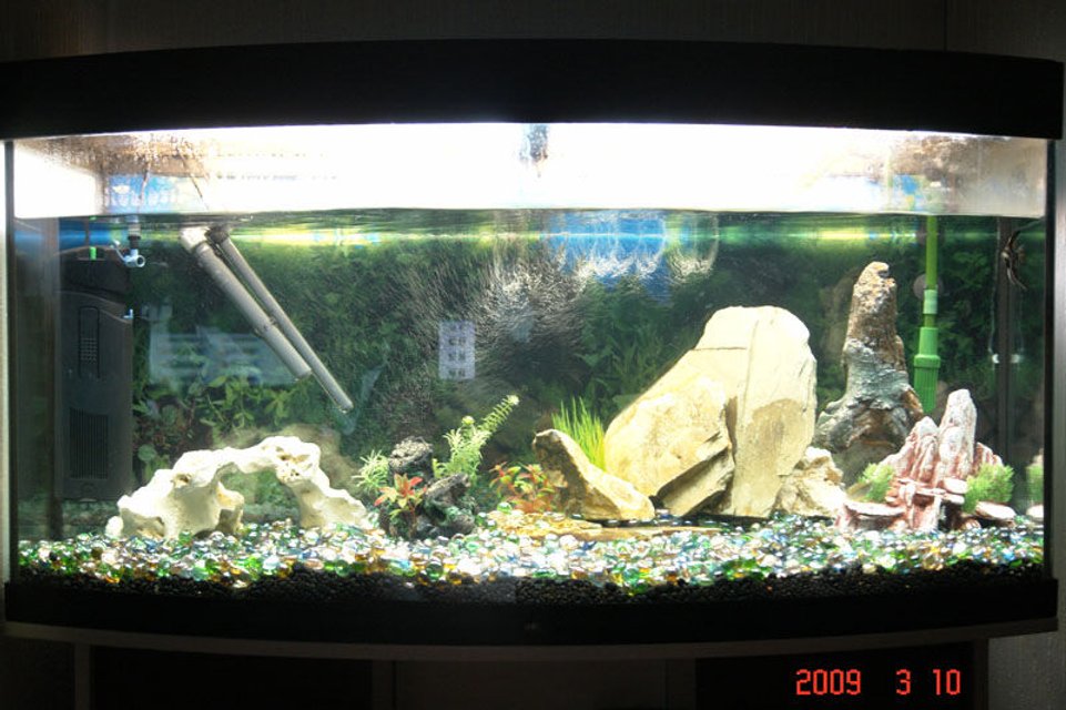 Rated #3471: 55 Gallons Freshwater Fish Tank - vision tropical tank