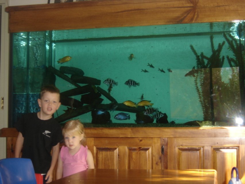 Rated #2109: 225 Gallons Freshwater Fish Tank - My Children in Front of my baby Aquarium.