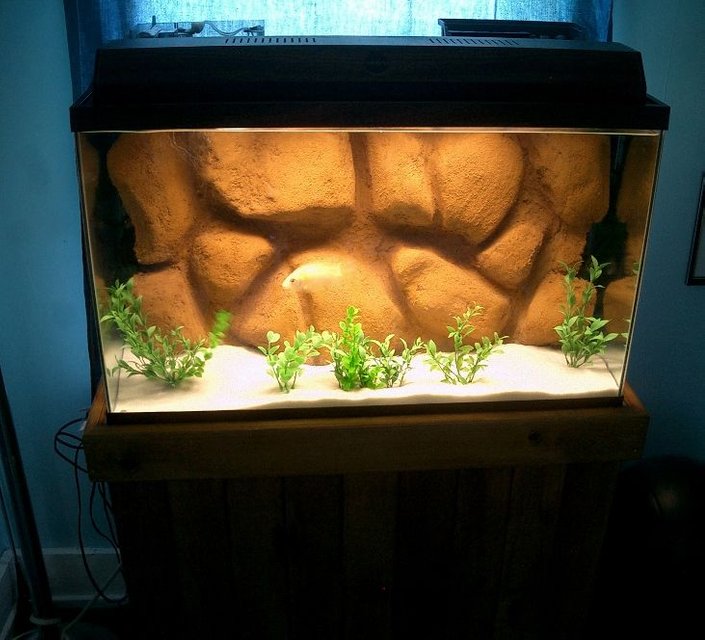 Rated #3379: 55 Gallons Freshwater Fish Tank - New DIY 3d background