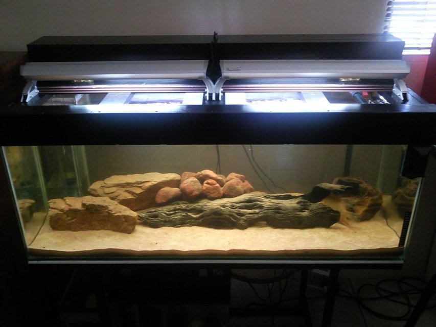 Rated #2792: 75 Gallons Freshwater Fish Tank - My 75 gallon community tank