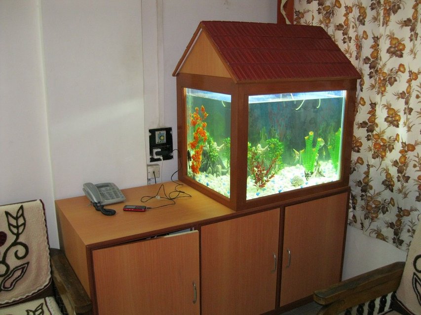 Rated #2627: 58 Gallons Freshwater Fish Tank - My fish tank