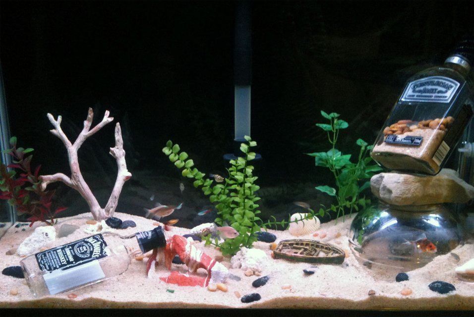 Rated #228: 29 Gallons Freshwater Fish Tank - PFS substrate, a few fake plants, assorted river rock and pebbles sprinkled throughout, a few large rocks, a couple of (empty) liquor bottles and a home made underwater crab dome.