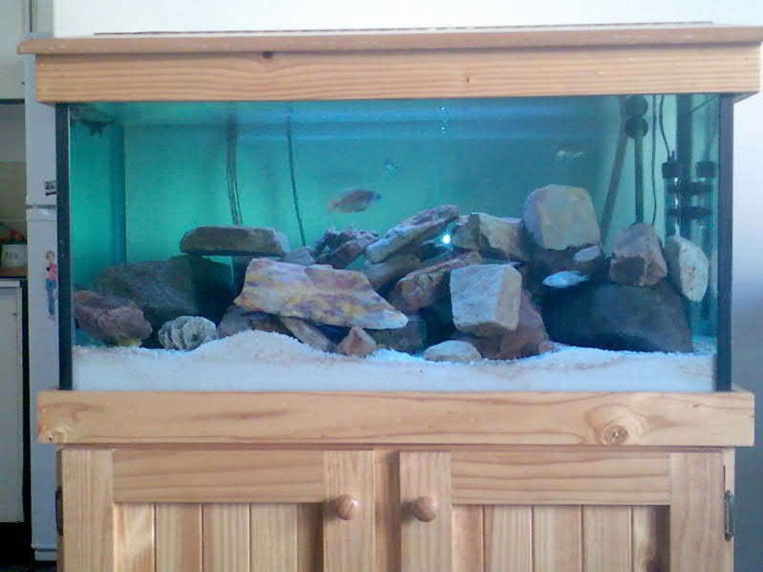 Rated #2580: 32 Gallons Freshwater Fish Tank - Tank with wood stand