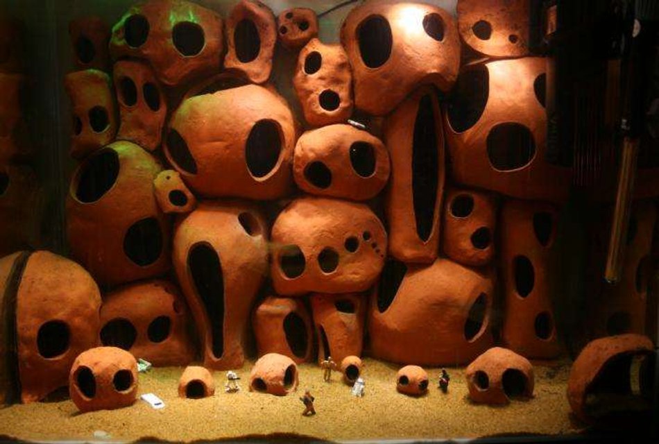 Rated #922: 45 Gallons Freshwater Fish Tank - This tank has been filled using hand crafted pieces of pottery which are hollow and provide ample hiding places for the occupants.

The lighting is achieved using seventeen super bright white L.E.D.'s mounted into a custom lid.

The tataouine-esque feel to the tank has led to the introduction of several star wars characters.  An interesting concept, the fish seem to love chewbacca!