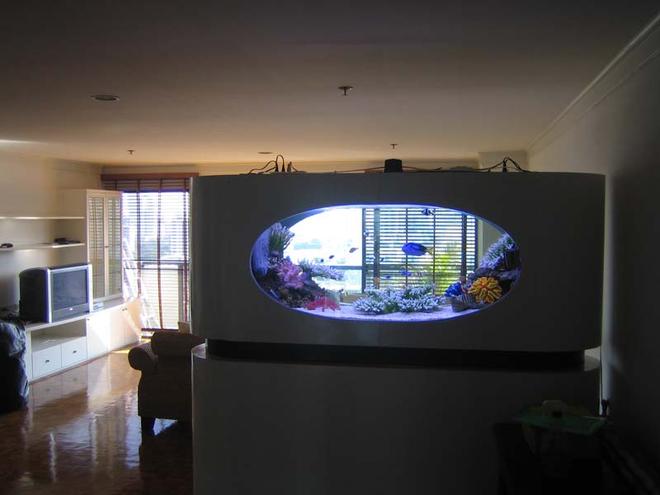 200 gallons saltwater fish tank (mostly fish, little/no live coral) - a view from the back