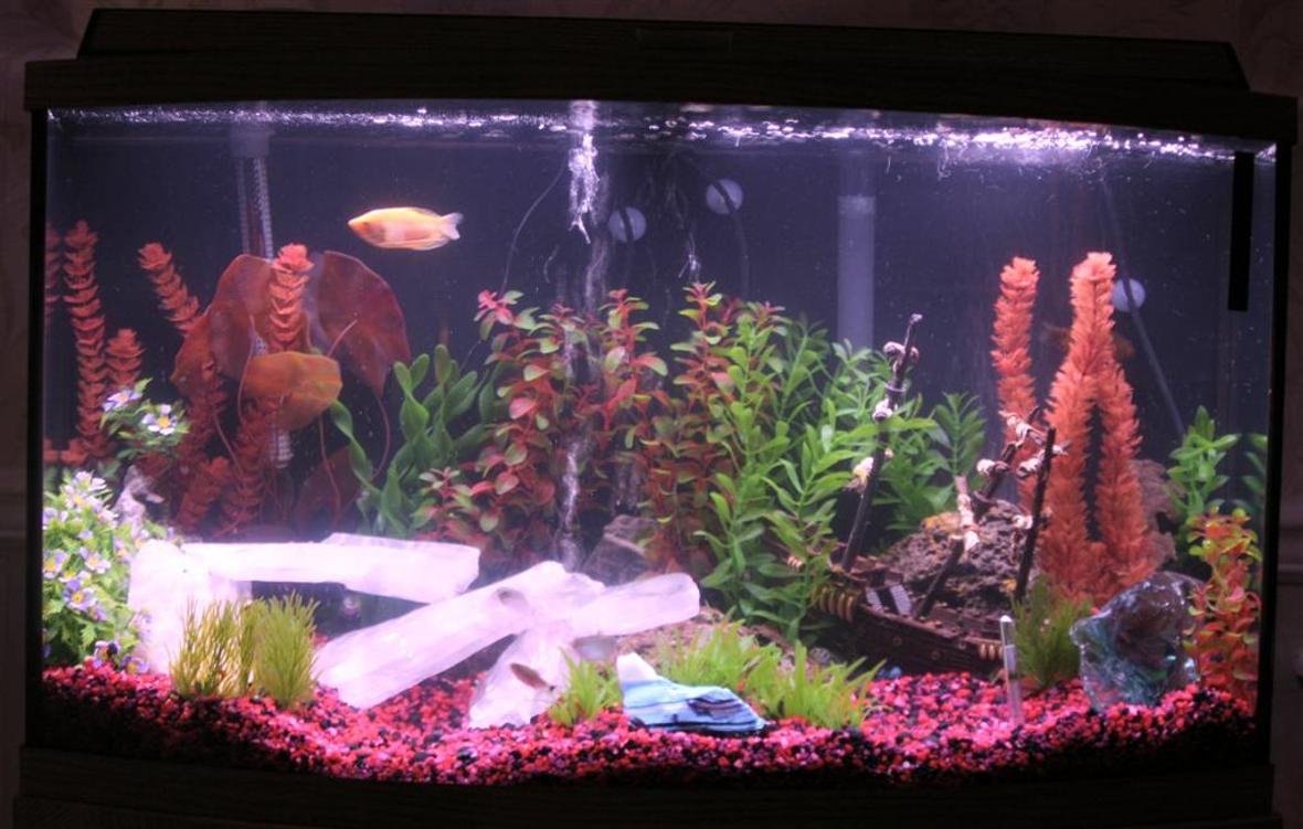 46 gallons freshwater fish tank (mostly fish and non-living decorations) - This tank has two bubblers. One in the back right, and one in the center. There are 4 Hi-Lites: (Green, Red, Purple and Blue) that we use to enhance the bubbles, and the "Ice" at night.