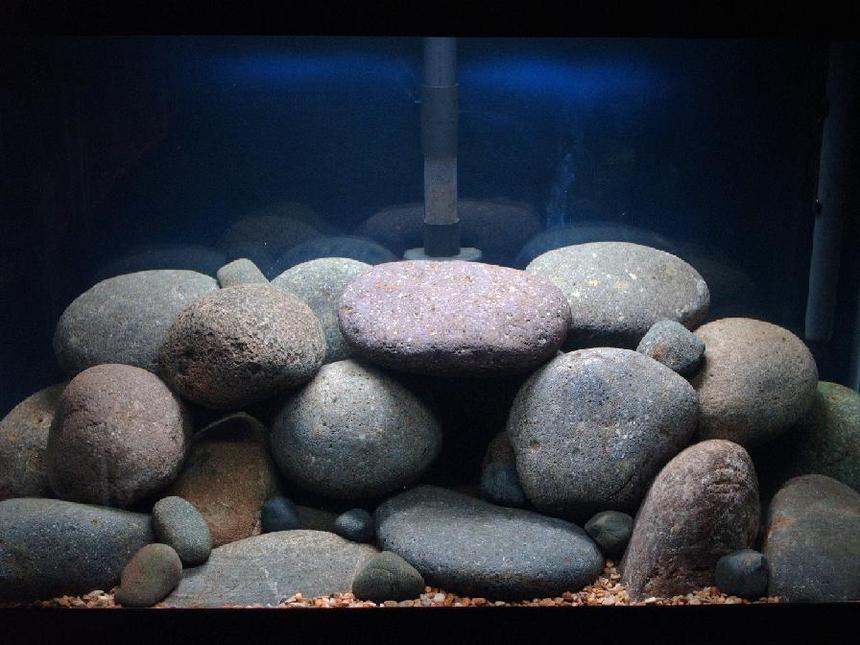 Rated #272: 30 Gallons Freshwater Fish Tank - Pombo Reef