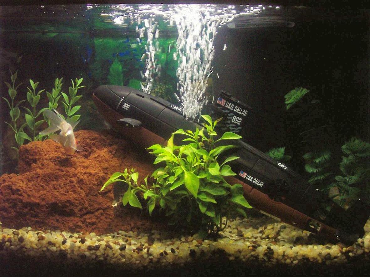 10 gallons freshwater fish tank (mostly fish and non-living decorations) - My Tank