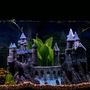 55 gallons freshwater fish tank (mostly fish and non-living decorations) - Magical
