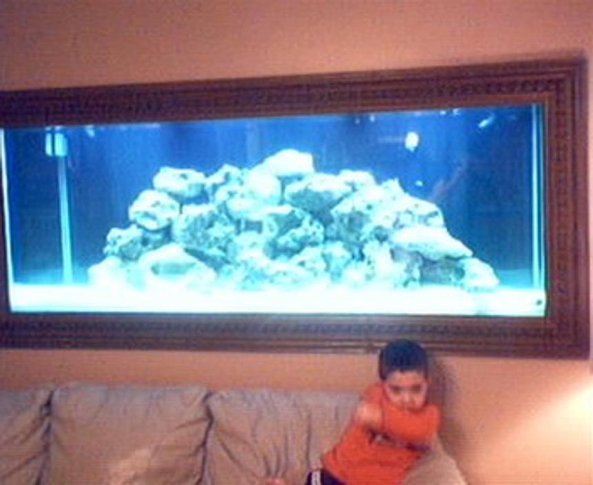 Rated #39: 210 Gallons Saltwater Fish Tank - MY BOY AGAIN