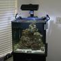 34 gallons saltwater fish tank (mostly fish, little/no live coral) - Solana 34 gal reef tank.