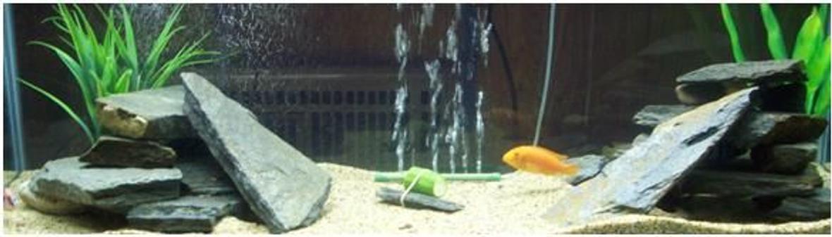 75 gallons freshwater fish tank (mostly fish and non-living decorations) - This is my main Malawi all glass 75 gallon tank. The decor is 55lbs of stacked sesame slate and about 20lbs of rock art gravel