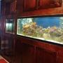 125 gallons reef tank (mostly live coral and fish) - Home office 125 Gallon Reef tank.