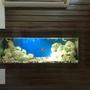 70 gallons freshwater fish tank (mostly fish and non-living decorations) - This is my second tank in my drawing room wall my tank size is L 5'x D3' x h3 'i have used Dead Coral UV filter External Filter and Under gravel filterin this tank