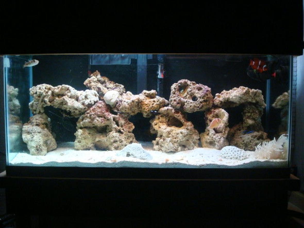 29 gallons saltwater fish tank (mostly fish, little/no live coral) - done