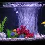41 gallons freshwater fish tank (mostly fish and non-living decorations) - Just some home fun!