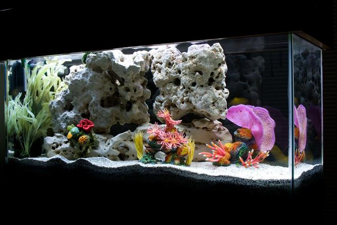 30 gallons freshwater fish tank (mostly fish and non-living decorations) - My "saltwater-themed" African Cichlid tank.