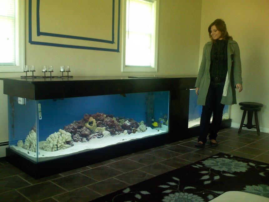 Rated #3: 180 Gallons Saltwater Fish Tank - Combo Tank, 180 and a 120. 2'x12'. The 120 is used for the carnivore and problematic specimens.  I also have a few nano tanks.