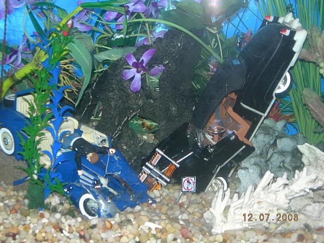 150 gallons freshwater fish tank (mostly fish and non-living decorations) - dont drink and drive
