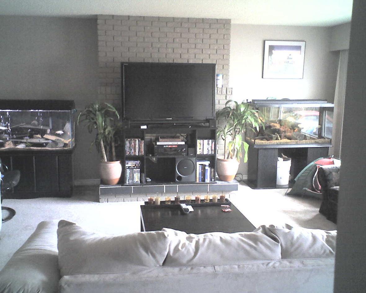 fish tank picture - My livingroom asst african tank on the left and asst south american on the right both 100 gallon