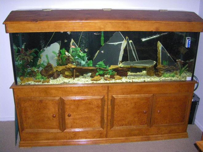 130 gallons freshwater fish tank (mostly fish and non-living decorations) - 6FT x 2FTx  1.5FT
300watt Heater, 2100 L/PH internal filter
NCF-1500 external filter

Fish:
6 x Australian Monos
2 x Bala sharks
1 x Black shark (20cm+)
4x Rossy barbs (getting rid of them)

Adding to tank:
1 X Pleco
10 x Yoyo loach