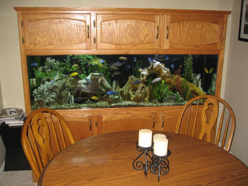 Rated #5: 125 Gallons Freshwater Fish Tank - Full Tank Shot