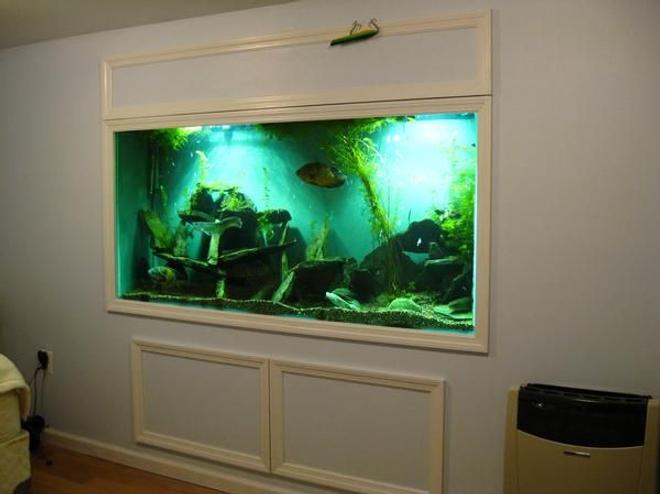 200 gallons freshwater fish tank (mostly fish and non-living decorations) - 200 gallon in wall