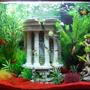 freshwater fish tank (mostly fish and non-living decorations) - fish