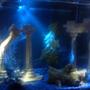 fish tank picture - no fish yet...but roman theme with lots of blue!